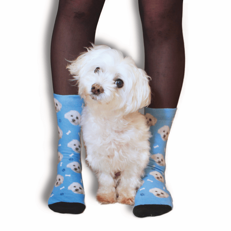 Calcetines para perros, Ponga a su perro en un calcetín, Calcetines  personalizados para mascotas, Calcetines para perros personalizados, Calcetines  para perros personalizados -  México