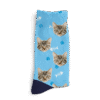 Tu gato en tus calcetines