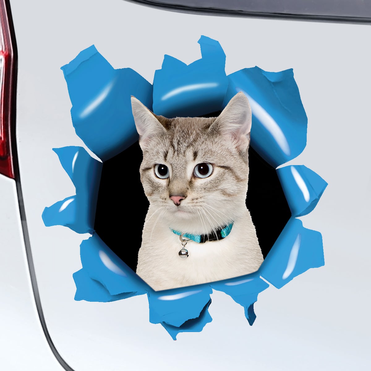 Pegatina personalizada para el coche - Mascota