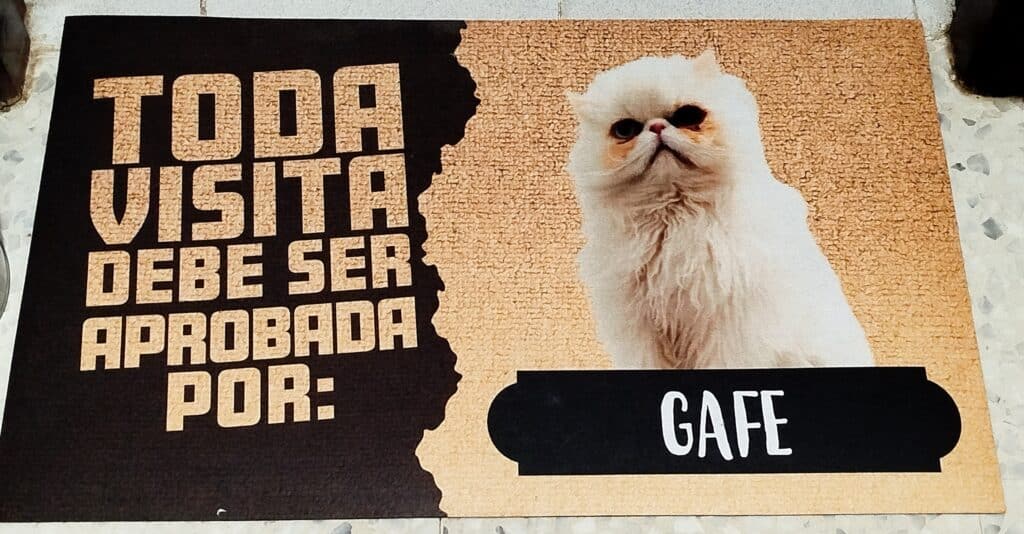 Imagen #1 de Antonia D.