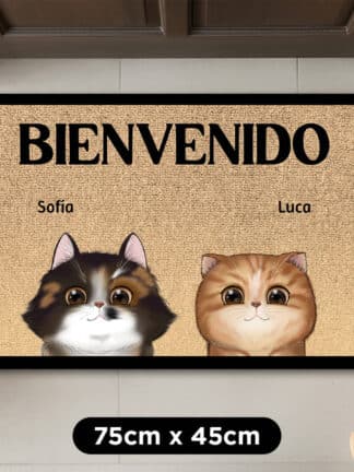 Felpudo personalizado - Bienvenidos, plebeyos